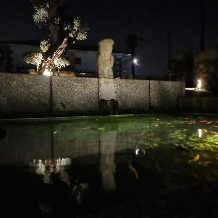 Casa Da Leira Villa Amarante Dış mekan fotoğraf