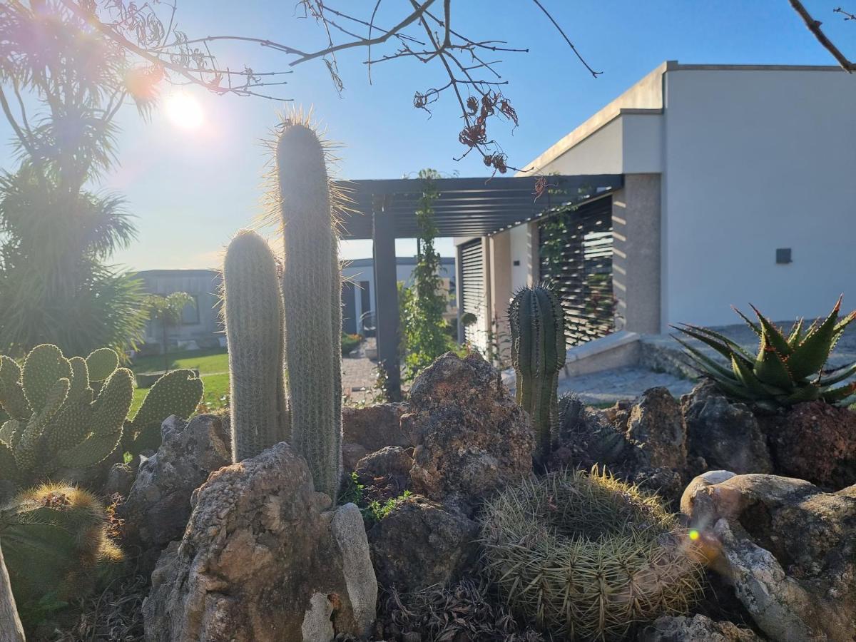 Casa Da Leira Villa Amarante Dış mekan fotoğraf