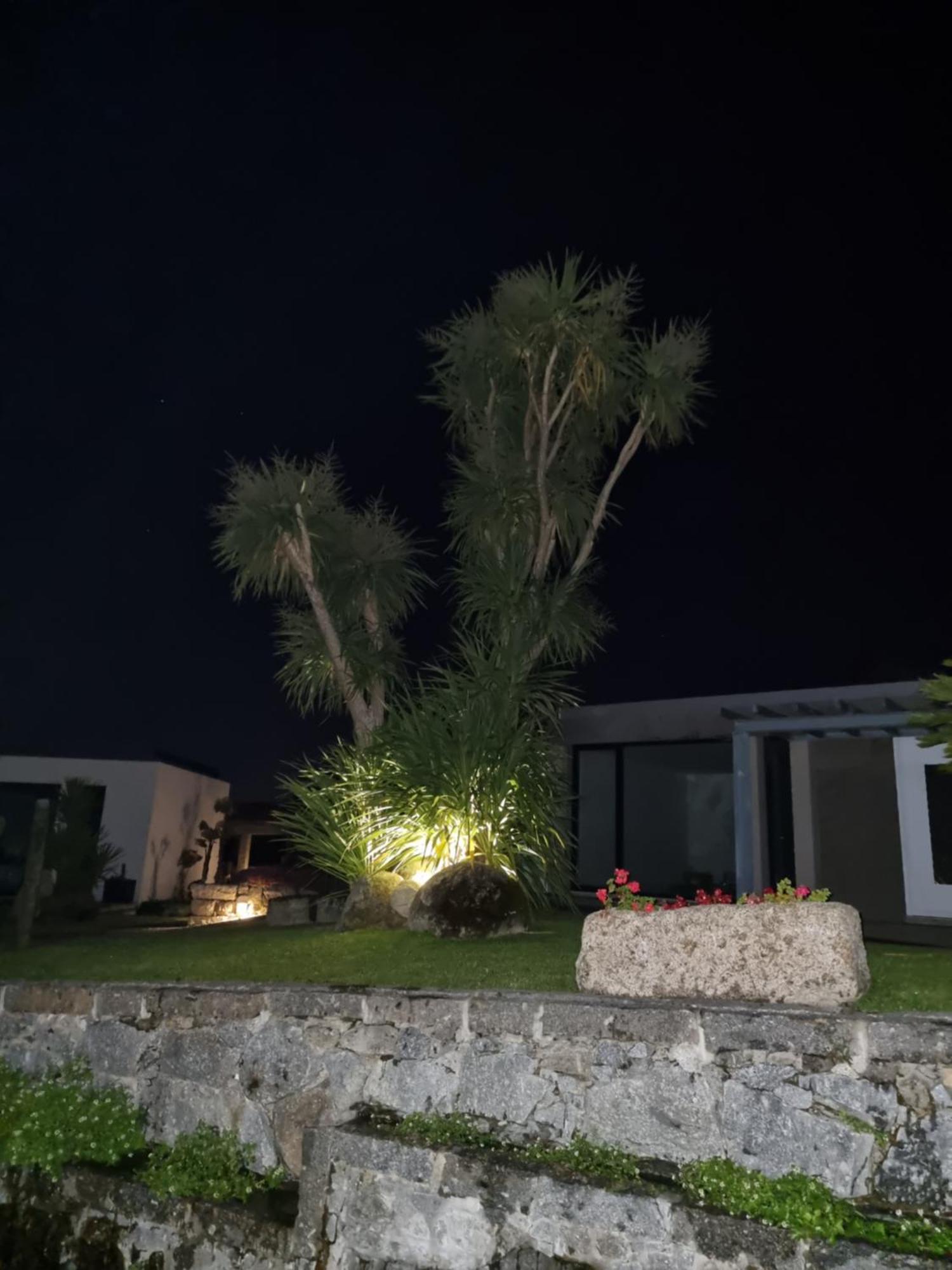 Casa Da Leira Villa Amarante Dış mekan fotoğraf