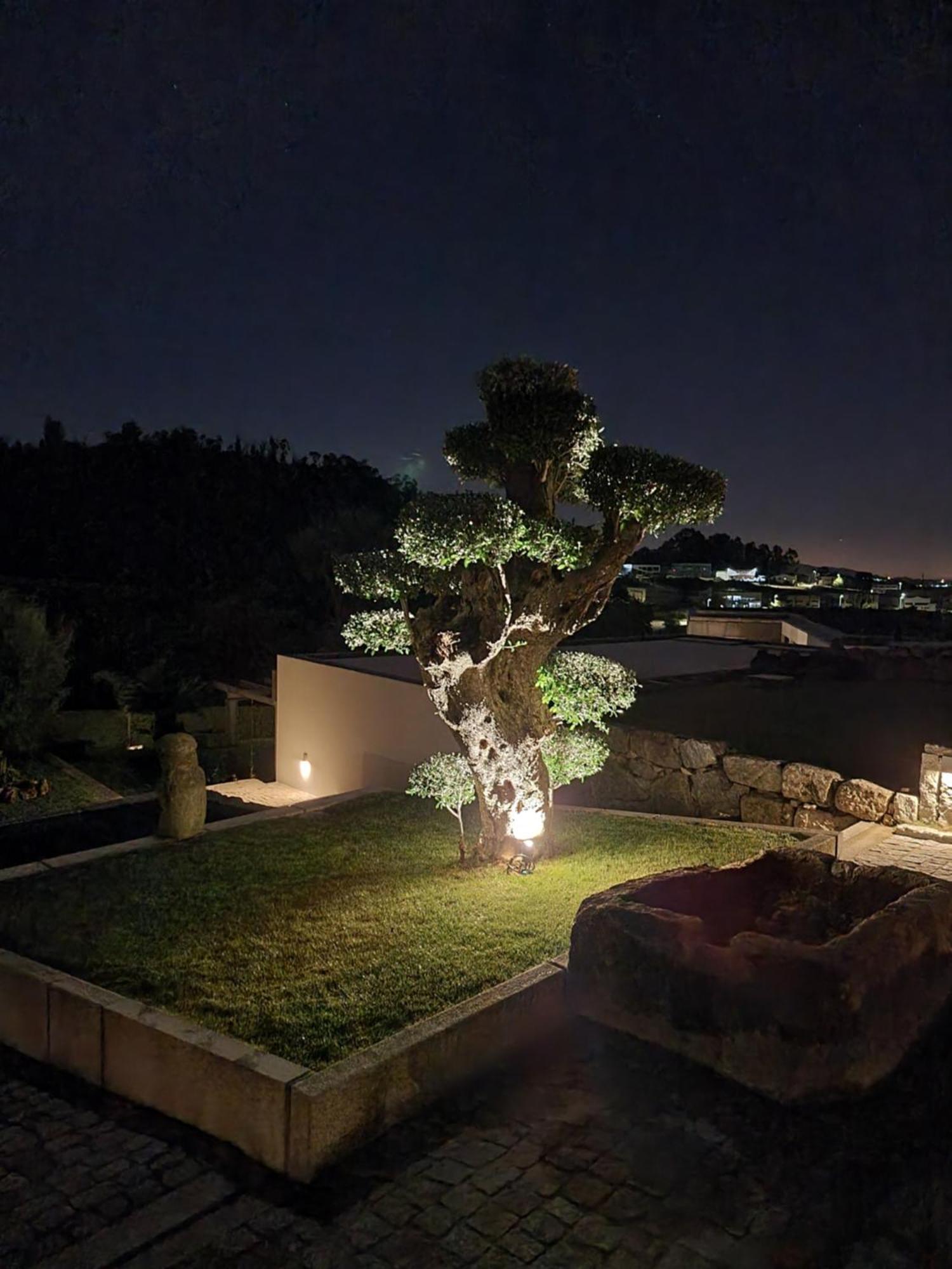Casa Da Leira Villa Amarante Dış mekan fotoğraf