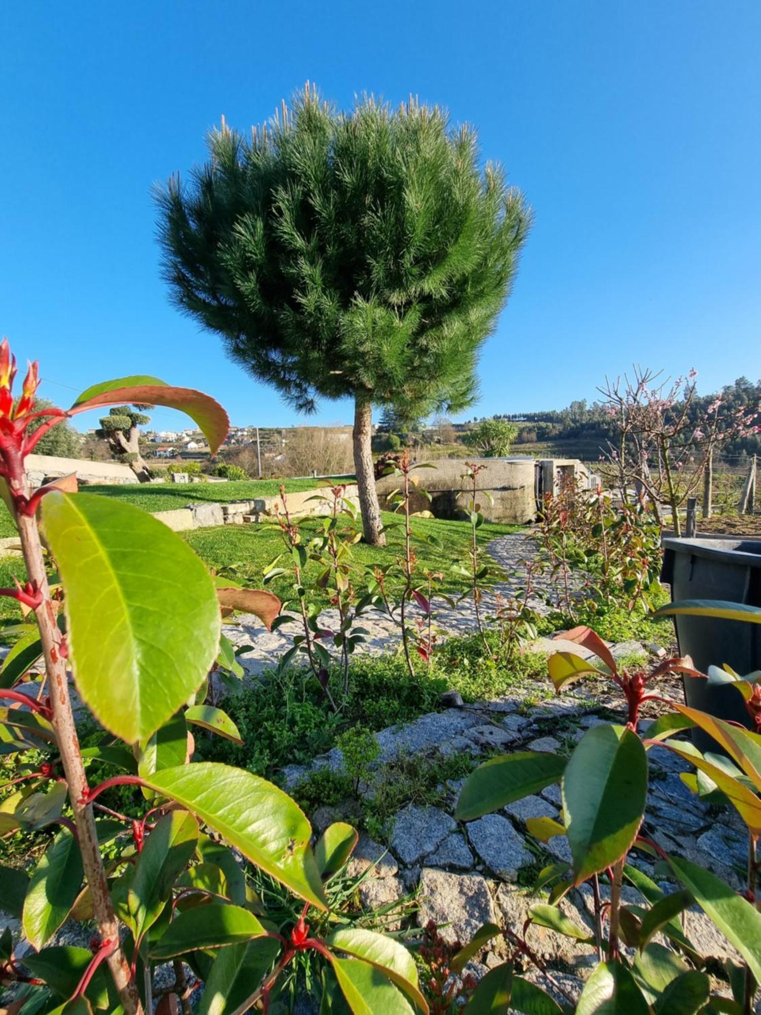 Casa Da Leira Villa Amarante Dış mekan fotoğraf