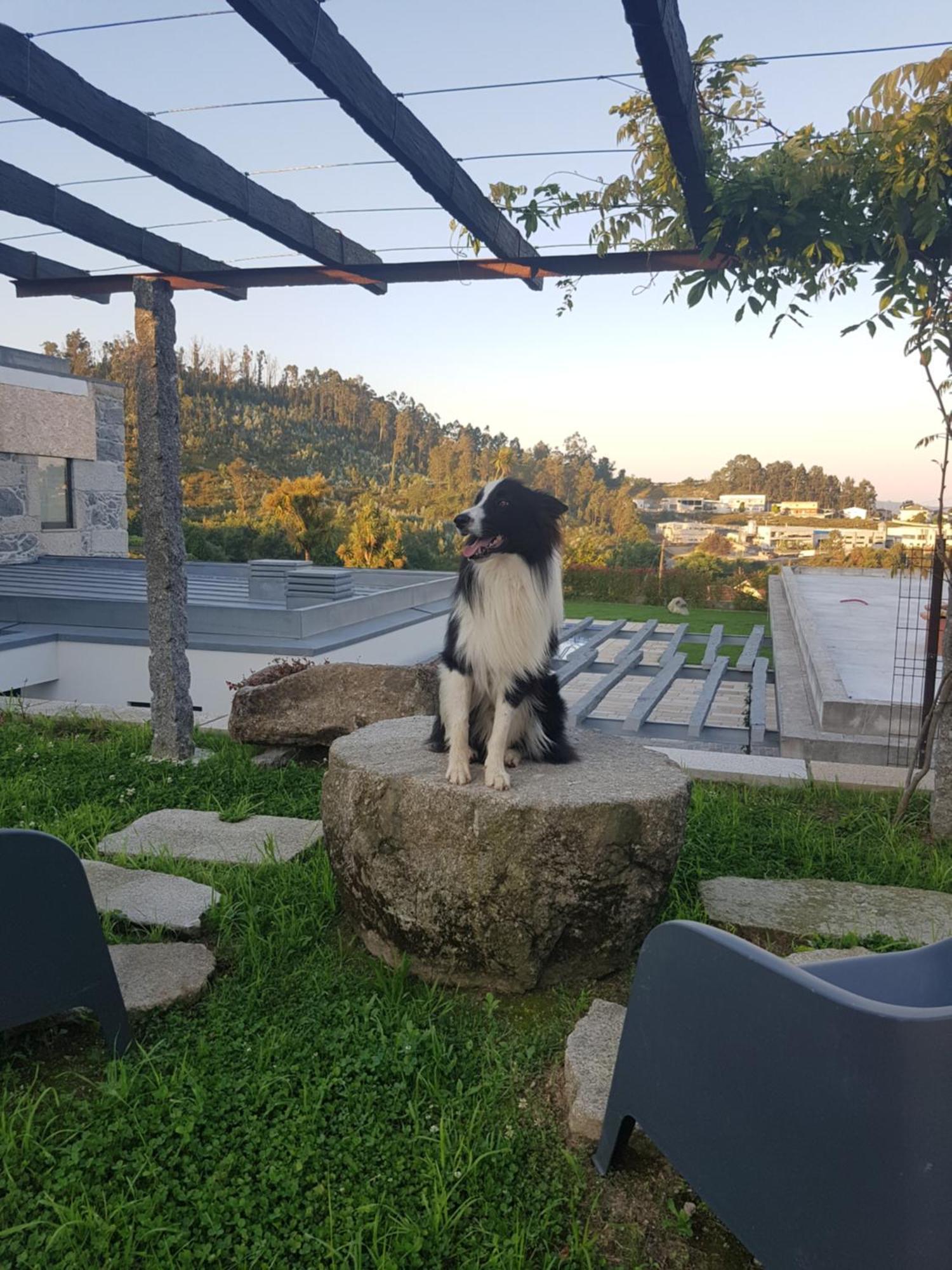 Casa Da Leira Villa Amarante Dış mekan fotoğraf