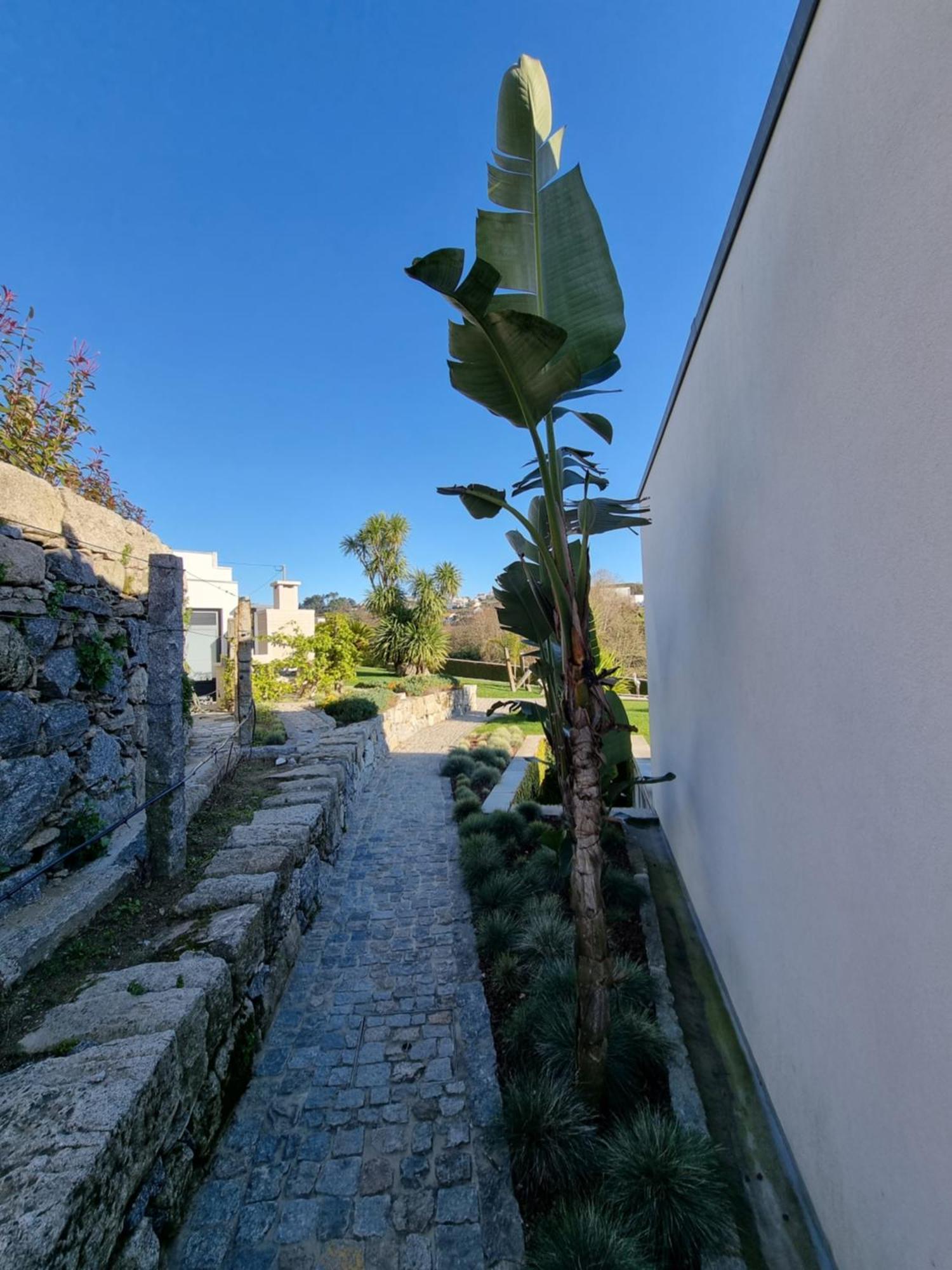 Casa Da Leira Villa Amarante Dış mekan fotoğraf