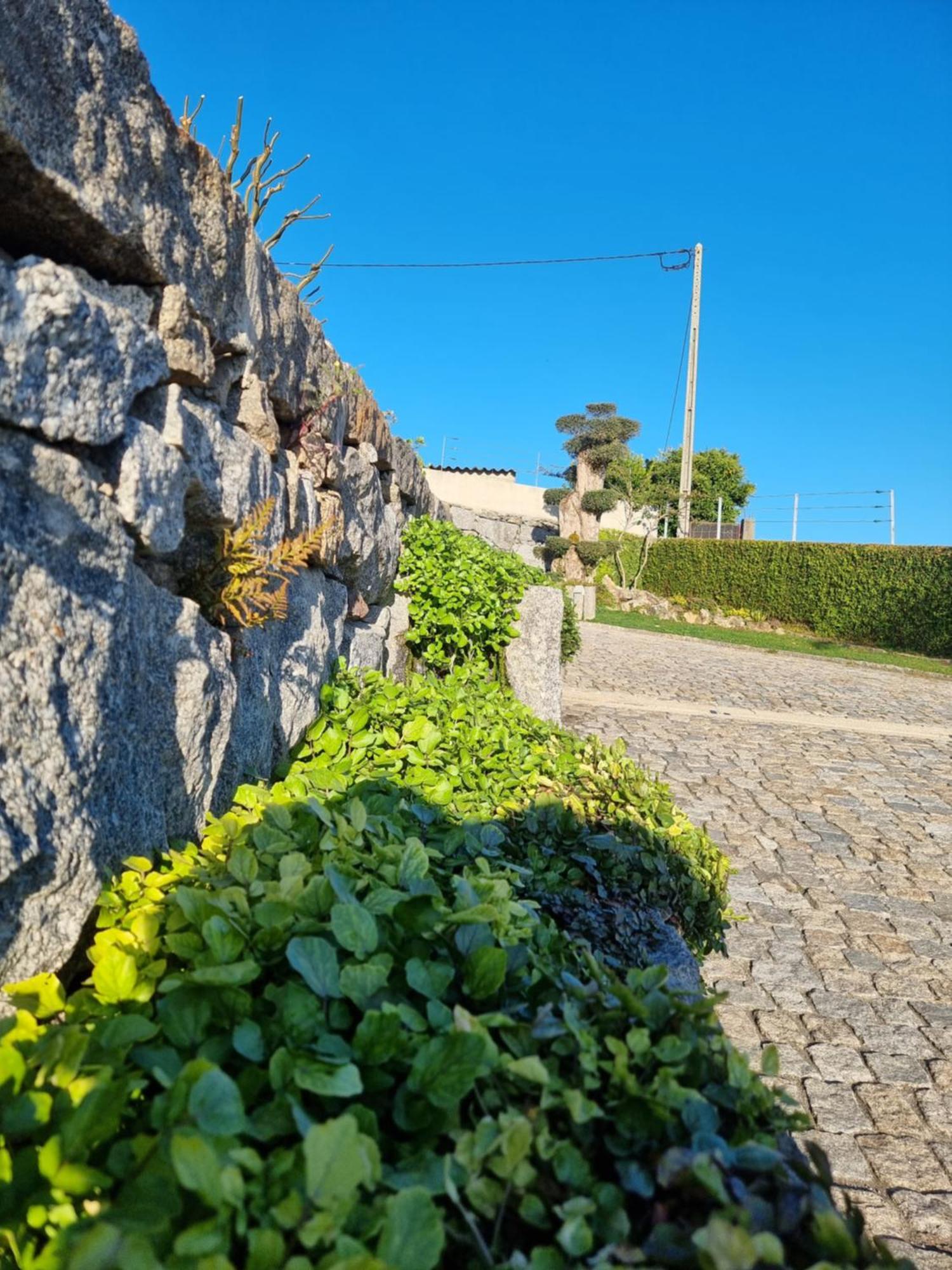 Casa Da Leira Villa Amarante Dış mekan fotoğraf