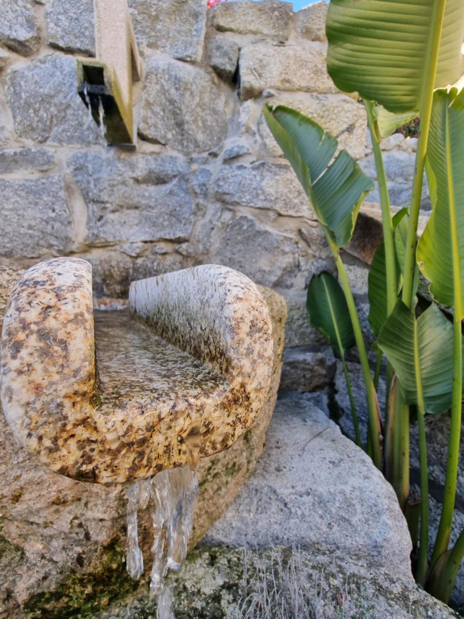 Casa Da Leira Villa Amarante Dış mekan fotoğraf