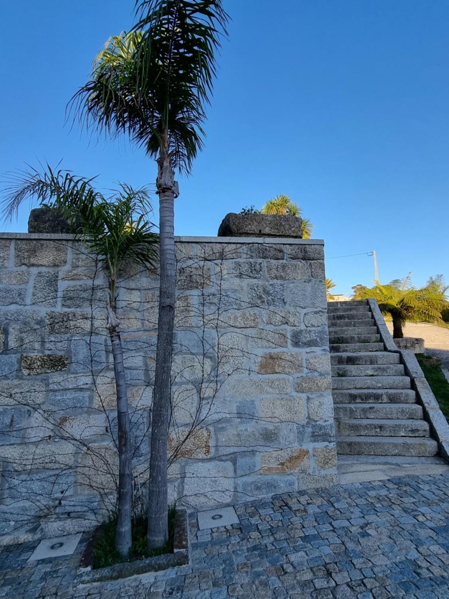 Casa Da Leira Villa Amarante Dış mekan fotoğraf