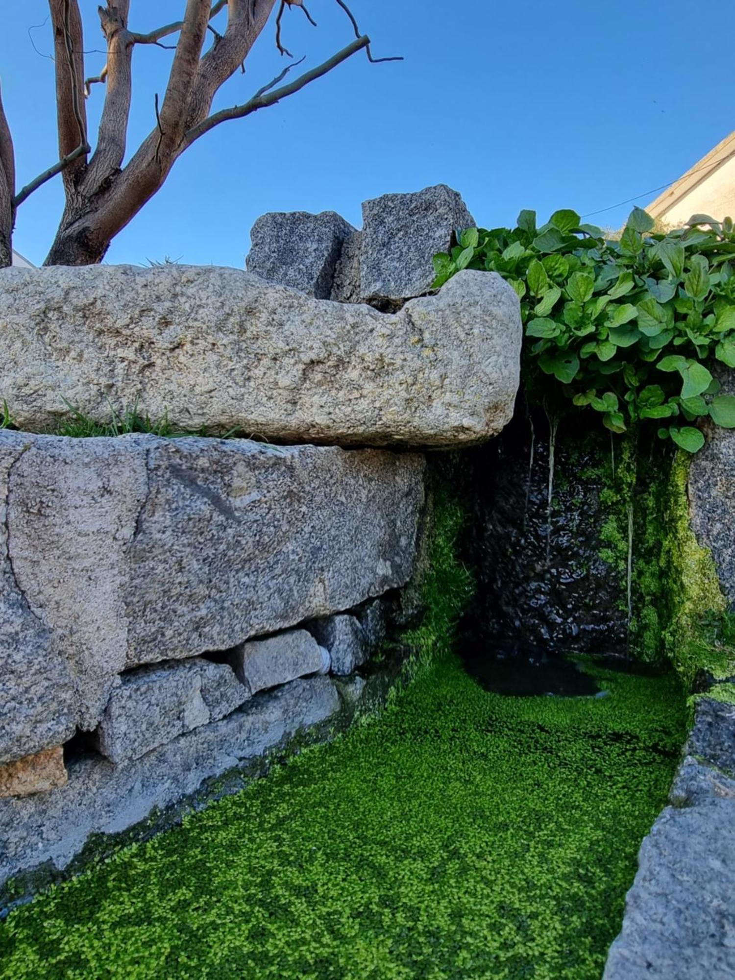 Casa Da Leira Villa Amarante Dış mekan fotoğraf