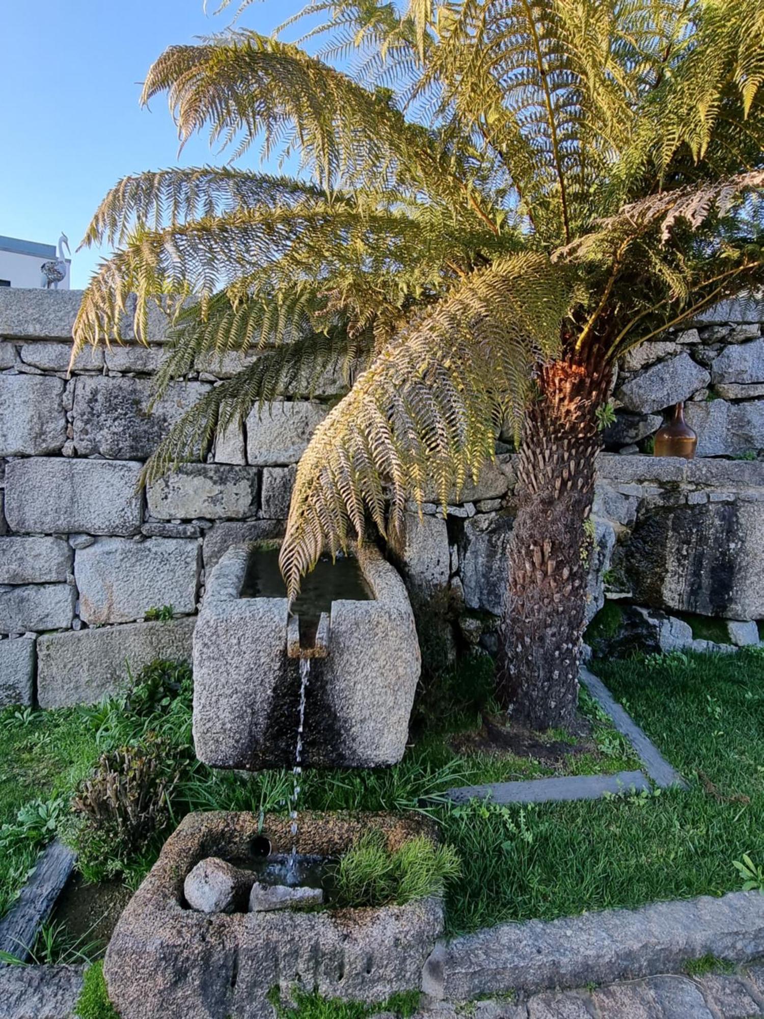 Casa Da Leira Villa Amarante Dış mekan fotoğraf